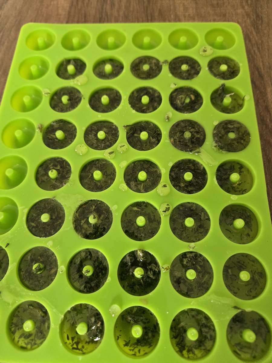 Die Kräutermasse in einer Silikonform für Bonbons
